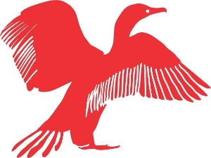 Cormorant Swimming Club